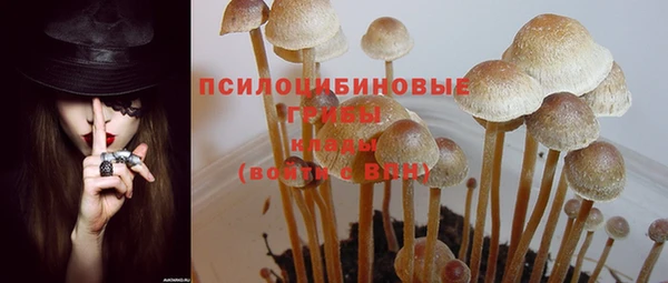 мет Нязепетровск