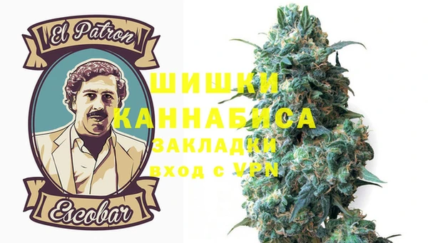 прущие грибы Абдулино