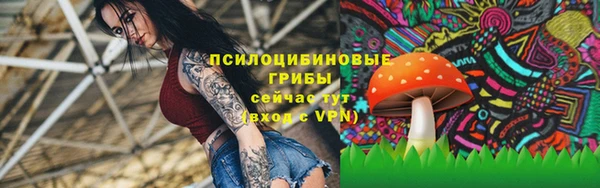 прущие грибы Абдулино