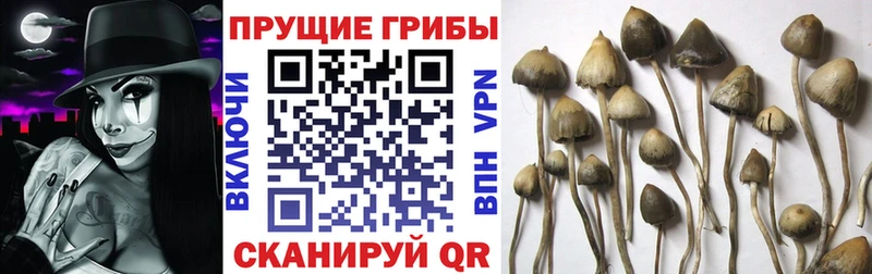 закладки  Нягань  Галлюциногенные грибы мухоморы 